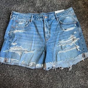NWT American Eagle shorts